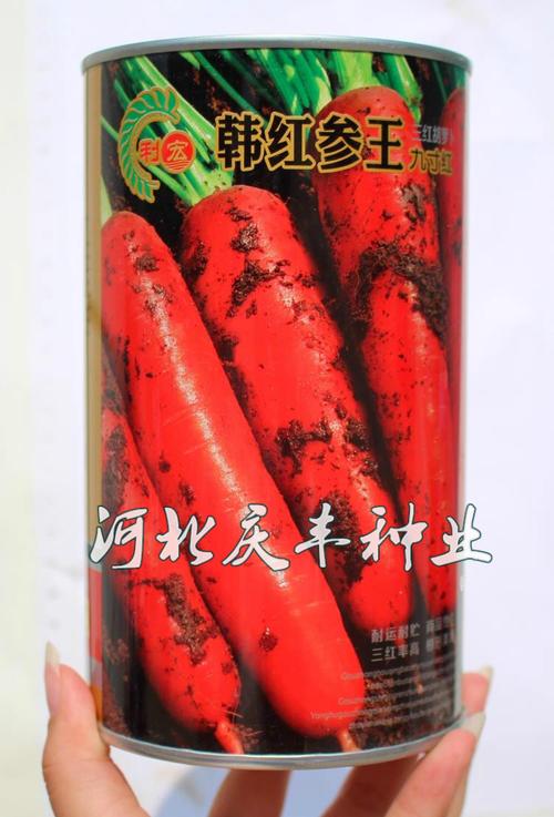 利宏韩红参王九寸红萝卜种子韩国引进红参黄参胡萝卜三红胡萝卜籽_7折
