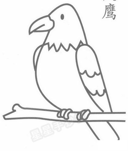 老鹰简笔画图片画法