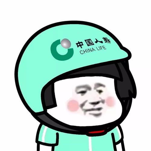 表情丨谁还没个头盔