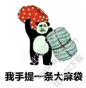 抖音我手提一条大麻袋表情包 9枚高清版 最新版