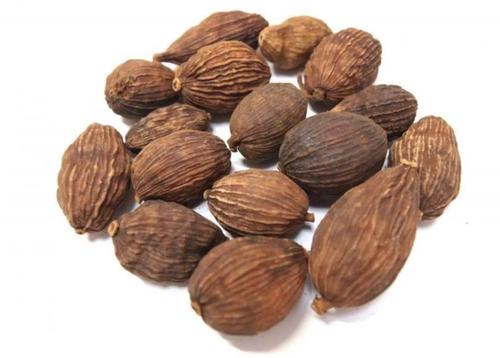 草果的来源和作用