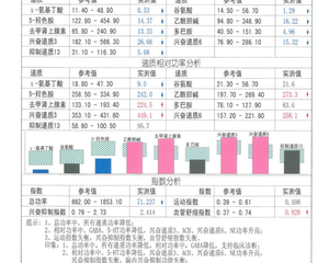 脑涨落图检查什么?众人观点,揭示事件本身!