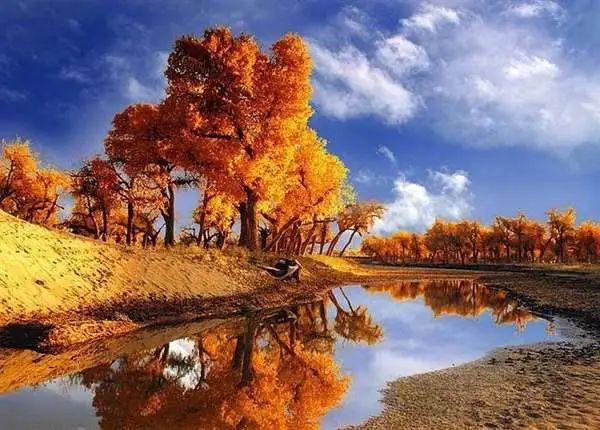 网易首页>网易号>正文申请入驻> 中国【策克口岸】位于内蒙古额济纳旗