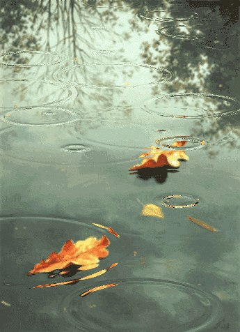 345_476竖版 竖屏gif 动态图 动图