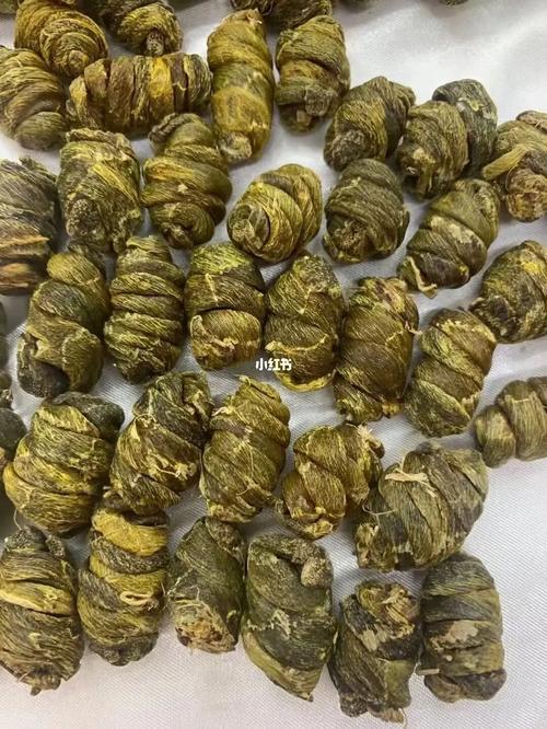 珍虫石斛_石斛_滋阴_降火_口腔溃疡_上火_熬夜_医疗健康_养生食疗