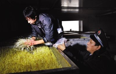 药水泡豆芽每日销售20吨