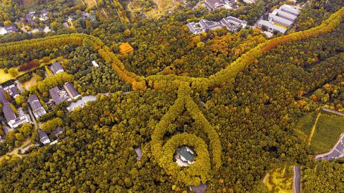 世纪之恋的见证中国最美的项链美龄宫