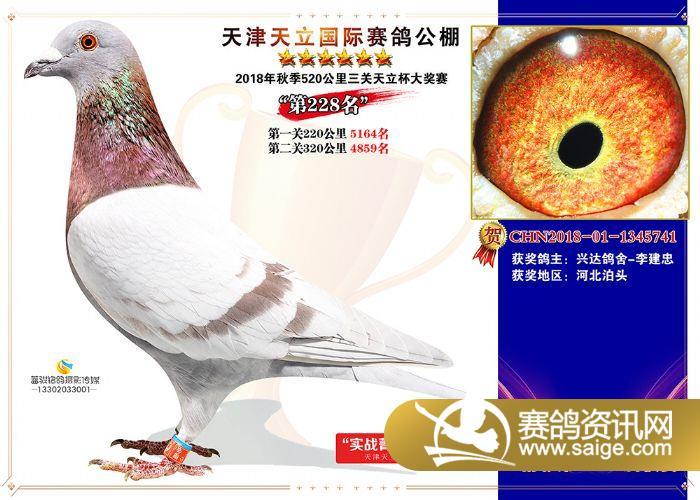 天津天立公棚530公里决赛获奖鸽照片211240名