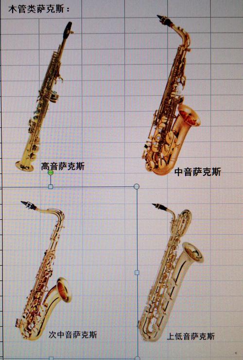 供乐团同学选挥的乐器
