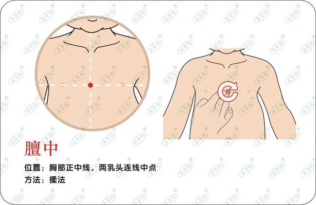 膻中穴