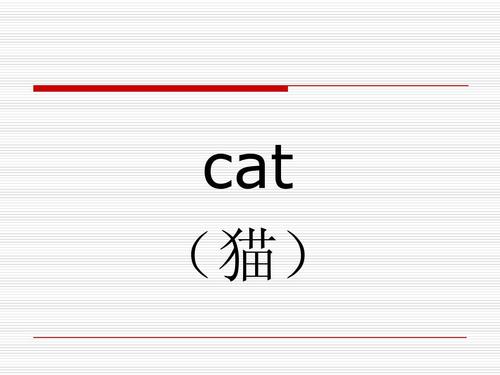 英语单词游戏1(一个比划一个猜)ppt