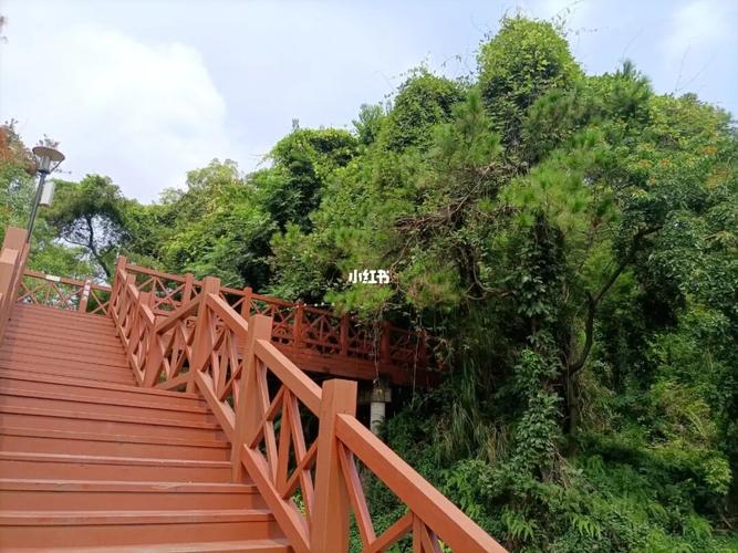 花都 一个比较安静的飞鹅岭山顶公园,喜欢爬山,可以过来看看.