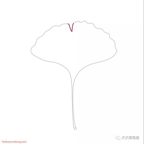 枫叶简笔画步骤银杏叶子简笔画作品彩色图片