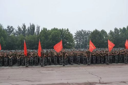 个学院领导,辅导员,71217部队教官以及东校区的各位小萌新们齐聚一堂