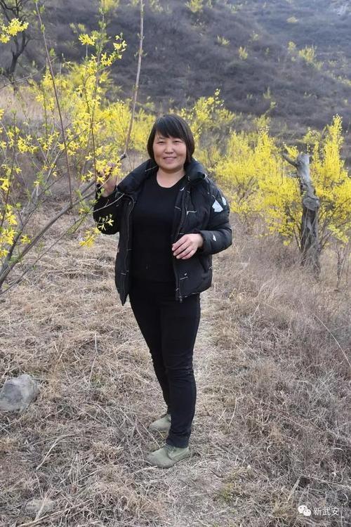 武安活水乡有一位村医 这个"连翘女人"不简单!