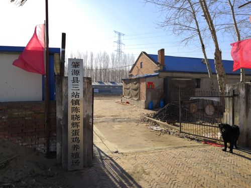 黑龙江省大庆市肇源县