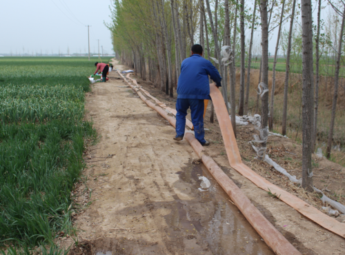 农村夫妻早上4点起床浇地,背后的苦谁能知道