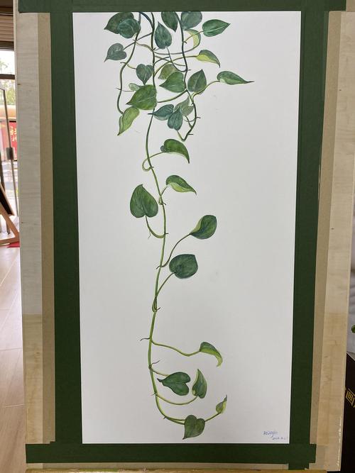 画支绿萝画支竹