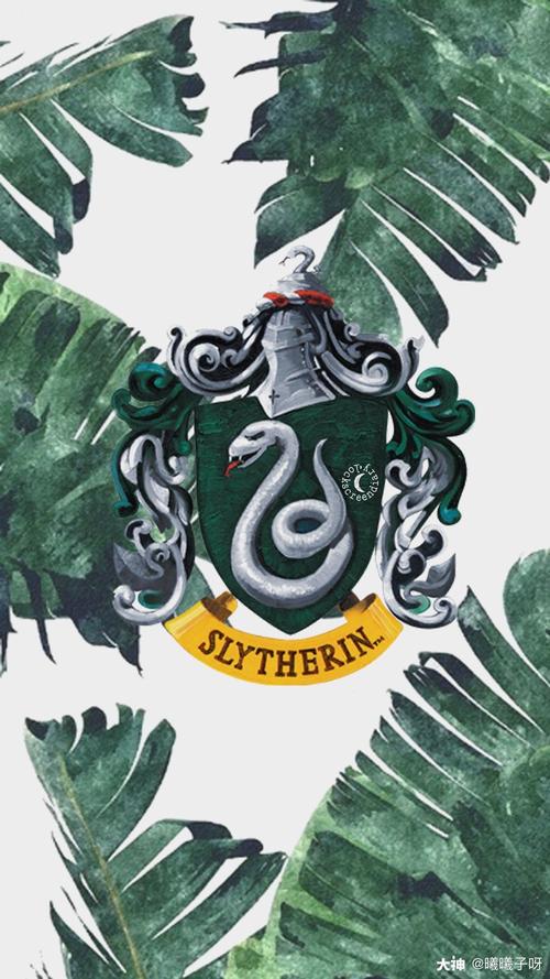 哈利波特魔法觉醒 #中国巫师后援会# 蛇院.