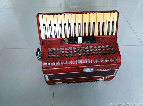 老鹦鹉手风琴