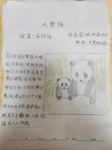 珍惜动物资料卡(三5)