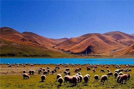 尼木吞巴景区旅游攻略