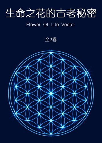 生命之花生命的图腾