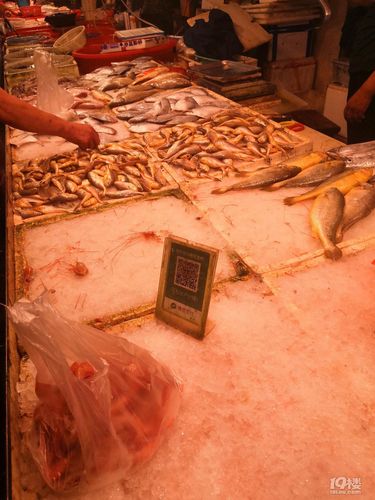 随手拍动真格卖鱼摊老板娘说禁渔期不敢卖水潺了