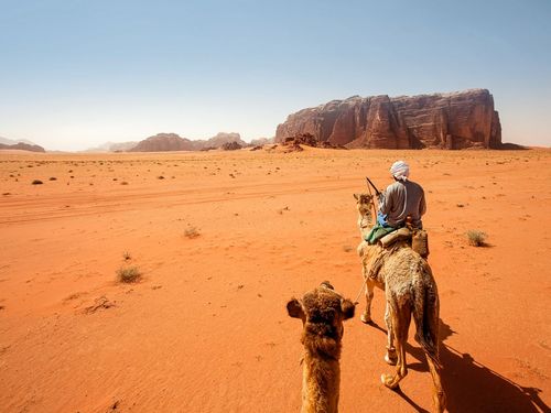 by camel and camp under the stars in the remarkable desert