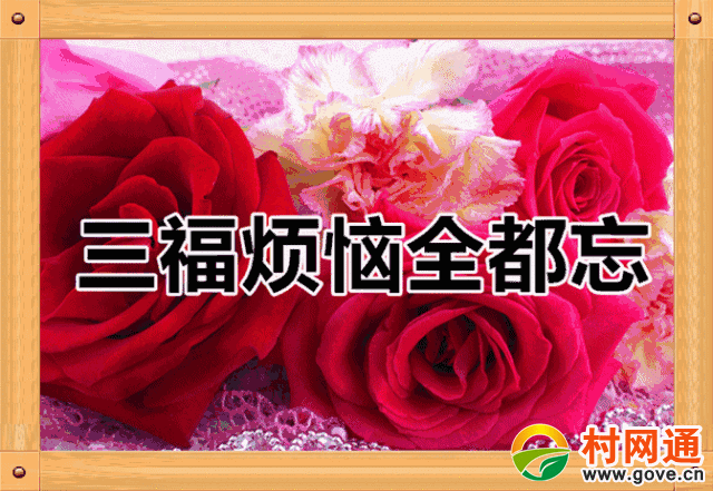 情感文章 正文  祝你们相守到老,百年好合!