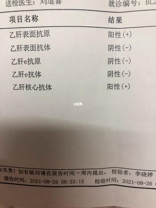 乙肝病毒病毒携带_乙肝_医疗健康_医疗健康其他