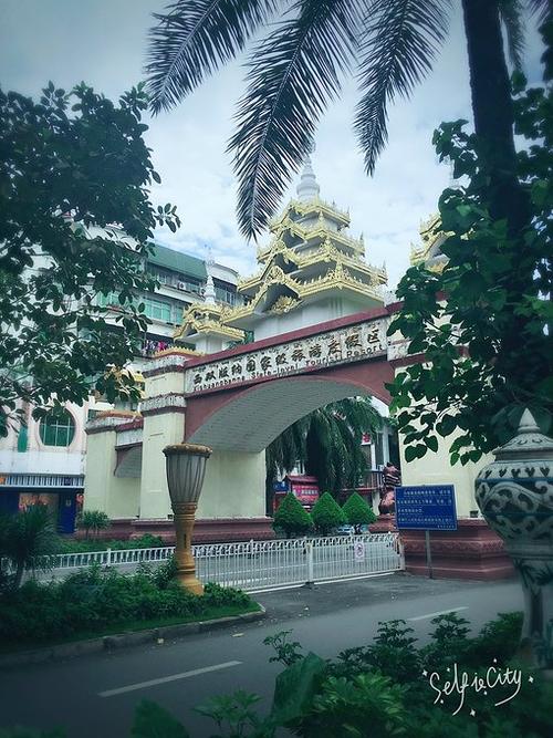 西双版纳市区图片