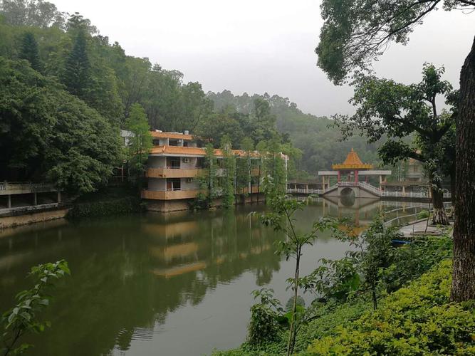 大夫山下疗养院闲聊集