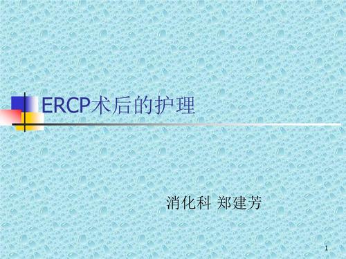 ercp术后的护理ppt参考幻灯片.ppt 28页
