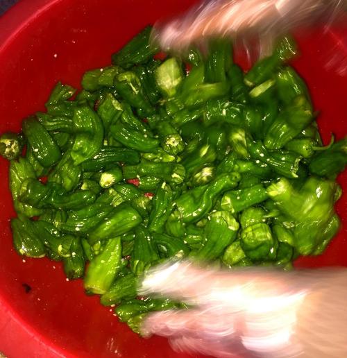 处理好后的辣椒放入食用盐,带上一次性手套,将是用盐均匀的涂抹在