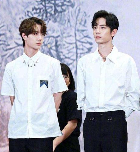 陈情令肖战和王一博的颜