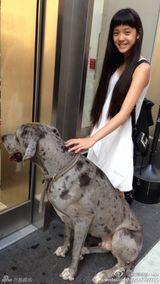 组图:台湾清纯大提琴公主走红 三姐妹秒杀宅男