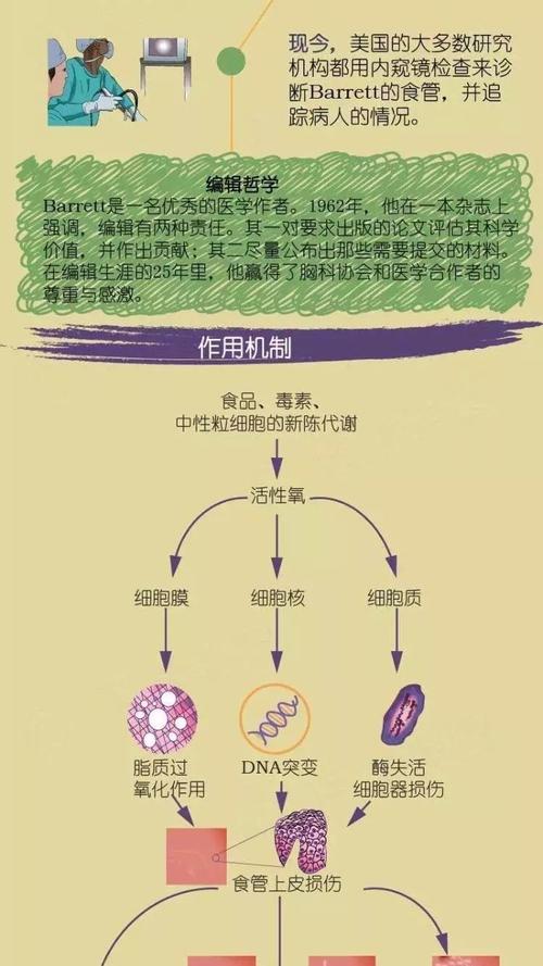 名称故事丨barrett食管