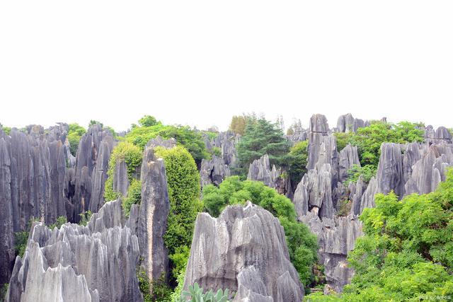 喀斯特地貌分布地区