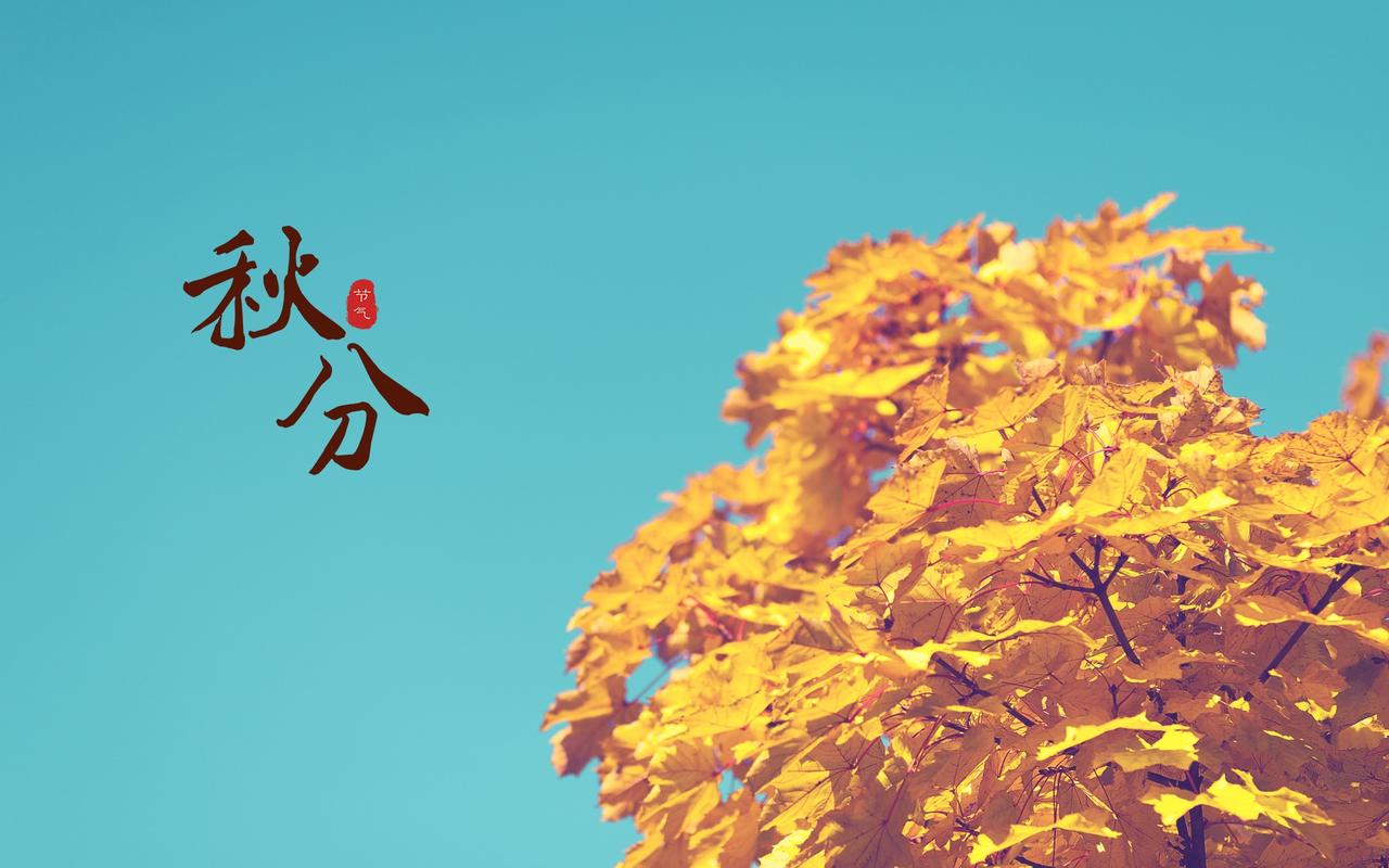 二十四节气秋分唯美图片桌面壁纸