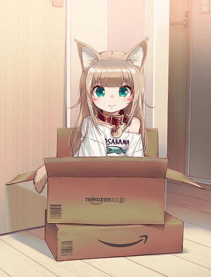 拟人化的猫咪有多可爱二次元的猫猫小萝莉谁不想天天吸