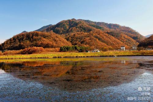 其它 秋染神农架,走近大九湖 写美篇 秋天的神农架以满山灿烂的色彩