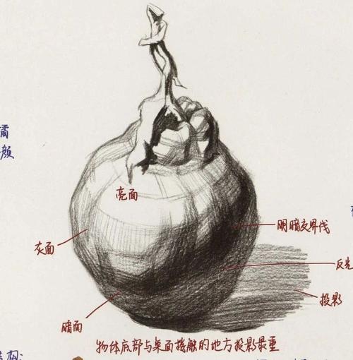 美术提分策丨全网最全面的橘子色彩静物教程兰州画室微课堂