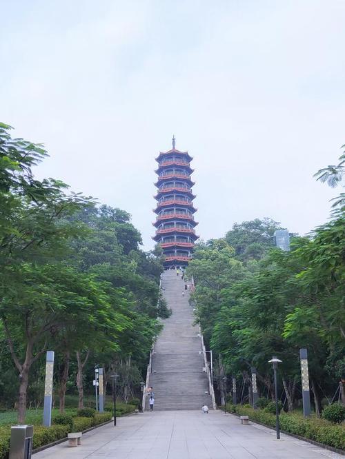 种草光明新区红花山公园|宝塔_网易订阅