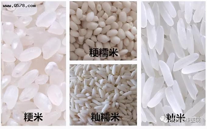 粳米,籼米,糯米,稻米不仅是生命之源,更是珍贵的一味药