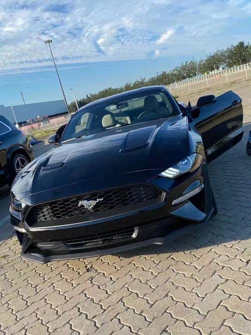 660_880竖版 竖屏