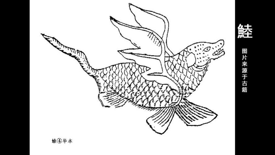 山海经图解第七篇鯥