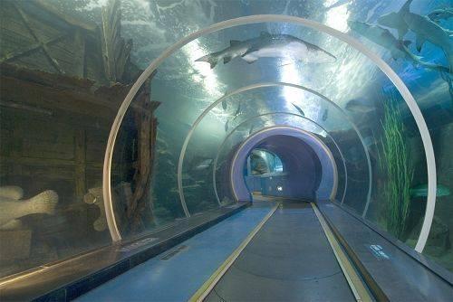 风大浪高   有不致触礁船翻之侥幸   斜月摁于星空   海底隧道路灯