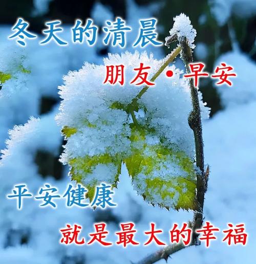 2021年1月03日清晨早上好问候祝福动态表情图片最新早安问候祝福图片