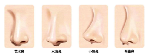 欧式翘鼻还是东方水滴鼻适合中国人的美鼻到底长啥样